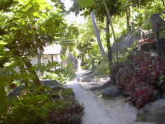 �o���K���[�̗т̒�