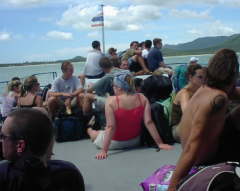 �p���K���t�F���[