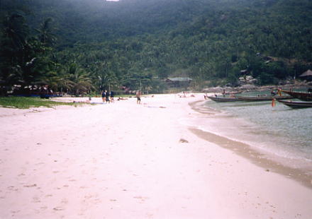 �ŋߐl�C��Bottle Beach