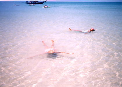 �����ɂȂ������^�V