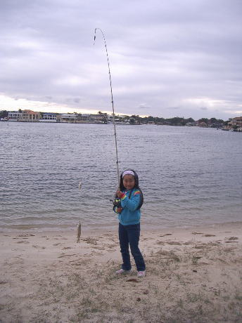 �����ƍ��x�̓V���M�X