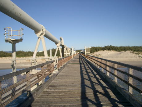 �ȑO�̓A�W������H��������