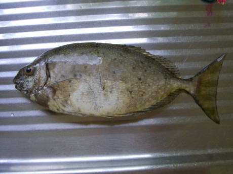 �Ƃ̑O�Œނꂽ��