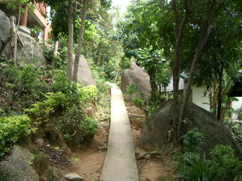 �������ɂ�