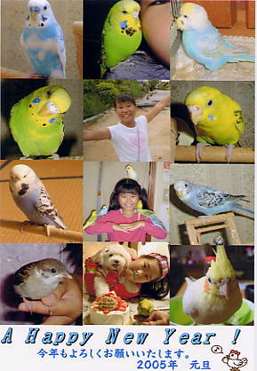 �O�T�N�̔N���