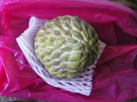 �J�X�^�[�h�A�b�v��