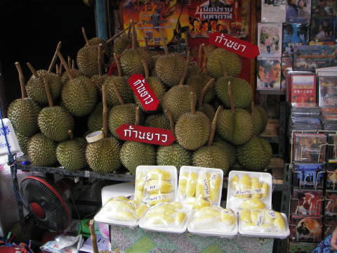 �h���A��