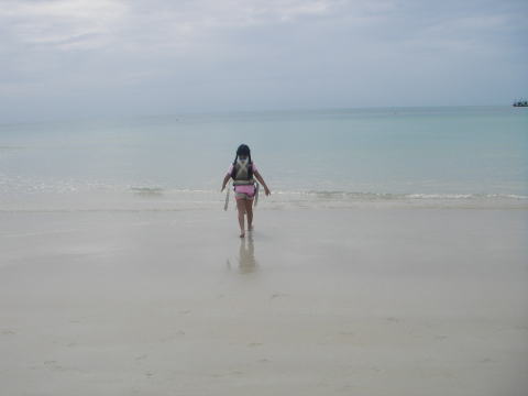 �S�̏����H