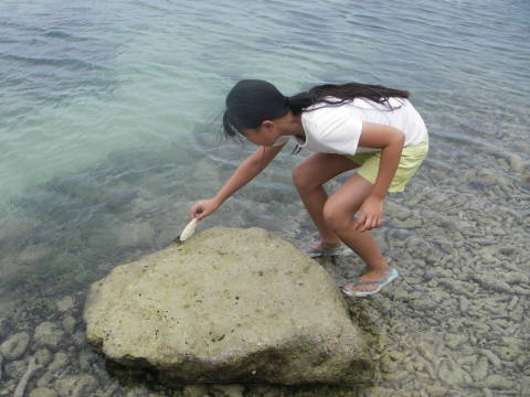 �J�j�ߊl���