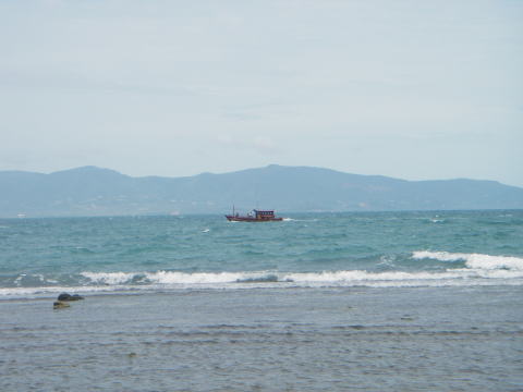 �������̓R�T���C