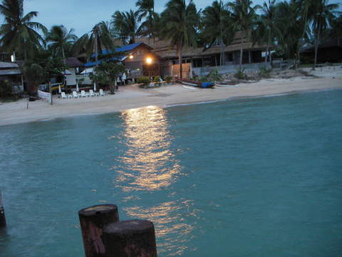 �X��������