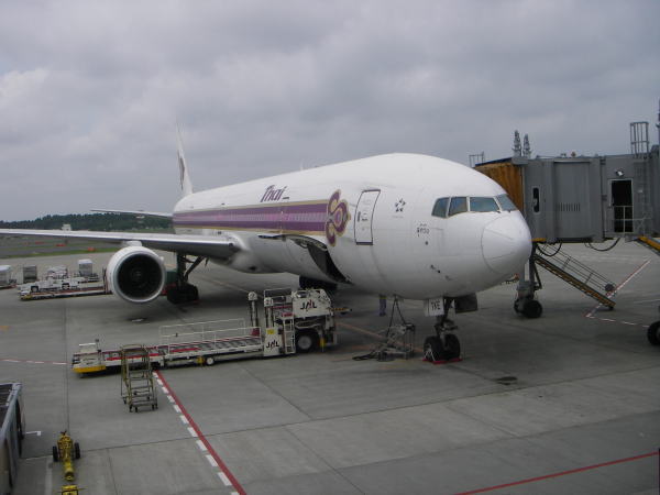 ��������̃^�C�q��