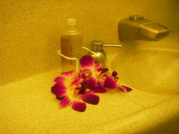 �g�C���Ƀ����̉�