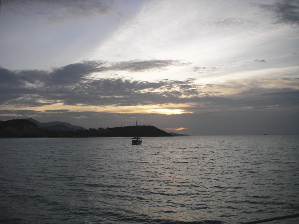 �[���̃R�T���C