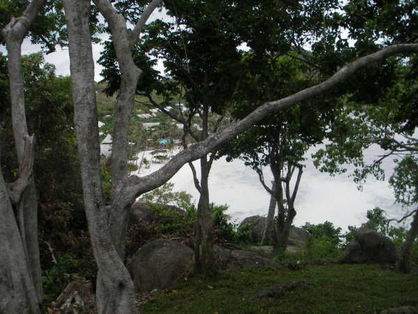 �����r�[�`