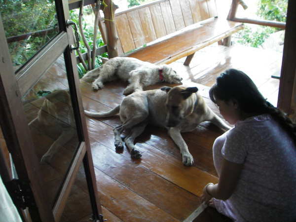 �����̒��܂�