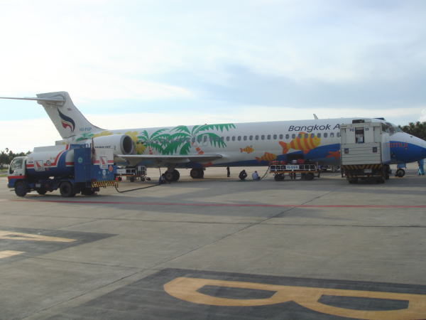 ���̔�s�@������