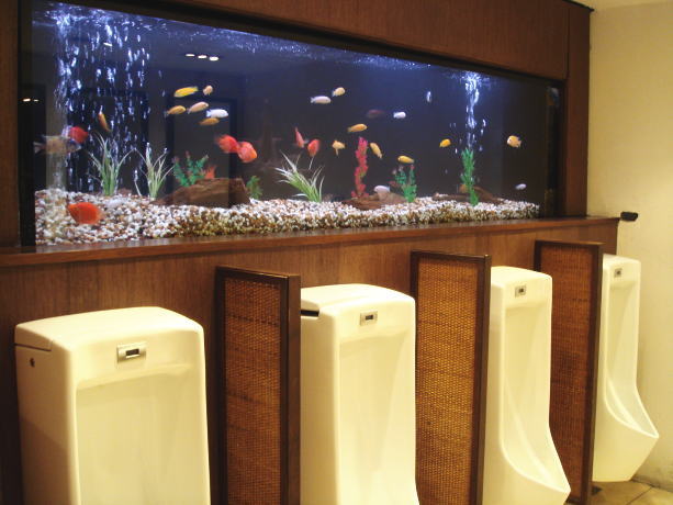 ���ꂢ�ł��B