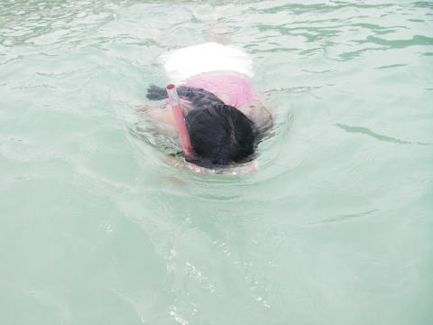 �V���m�[�P�����O���Ȃꂽ���B