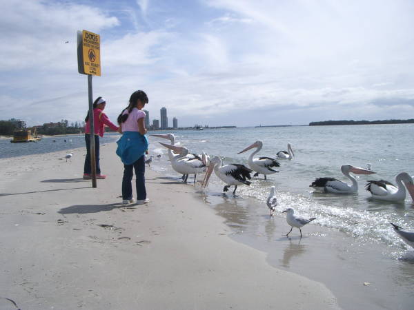 ����H�Ȃ񂩂����̂��ȁH