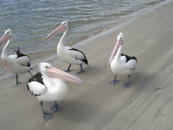 �N�����D�݁H