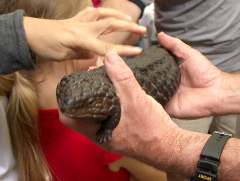 �Ȃ񂩁E�E�E�E�H