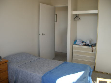 ���ꂢ����