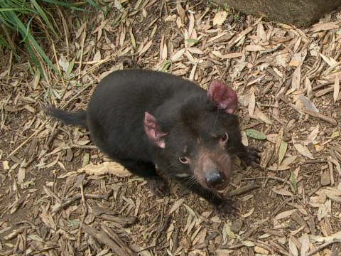 �^�X�}�j�A���f�r��