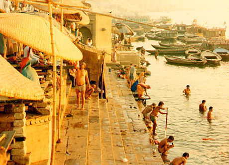 �_�ɋF��Ȃ���