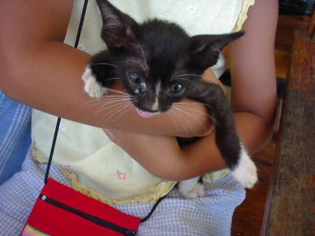 �ɂ��ł��ɂႢ�ɂ႟�B