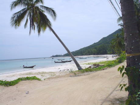 �D���Ȍi�F