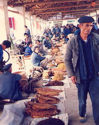 ���΂��̗t