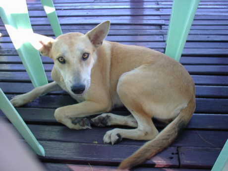 �����H�ו�������ł���H