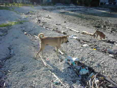 �ꏏ�ɒ��̎U�����悤��