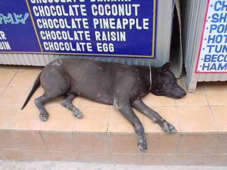 �N���Ȃ񂩂��ꃈ�[