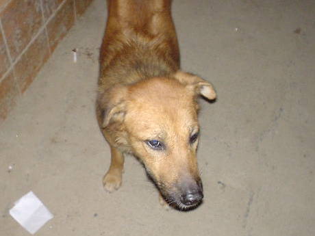 ��낵�����[��