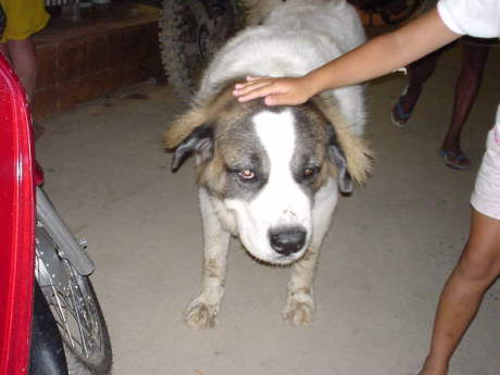 ��񂾂ӂ邾����