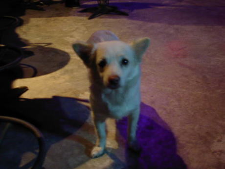 ����΂�탓