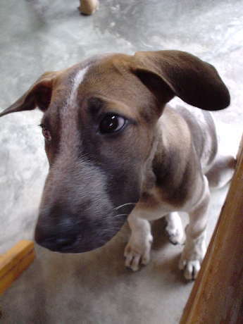 ����܂茩�߂Ȃ��ł�A�p����������惏�^�V�B