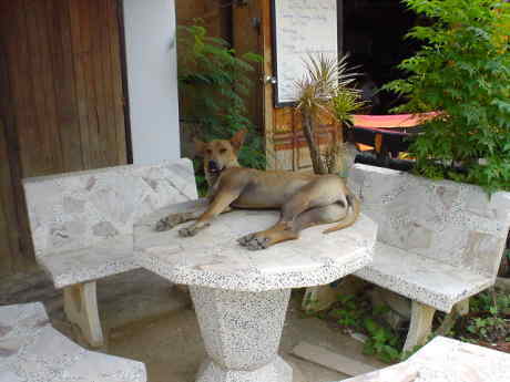 �������񂾂�A�ז����Ȃ��ł����B