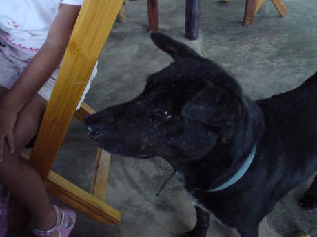 �Ȃ񂩂���|������