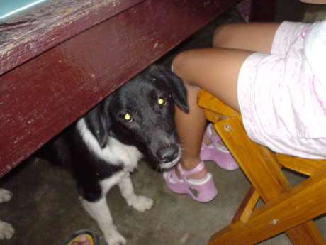 �����Ȃɂ�����[����