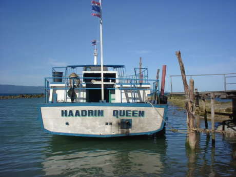 �R�T���C��