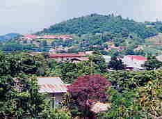 �h�C���[�T����