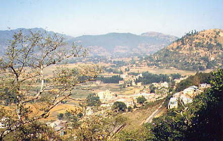 ���̃J�g�}���Y