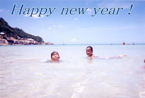 happy new year !