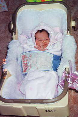 �x�r�[�J�v�Z���̒�