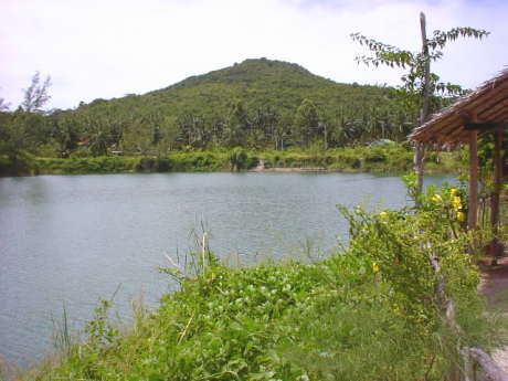 �����Ȍ�